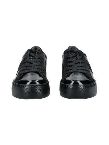 Paul Green Schnürschuh in schwarz