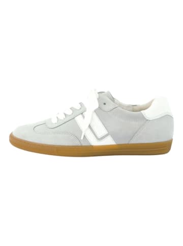 Paul Green Sneaker Grau/Weiß
