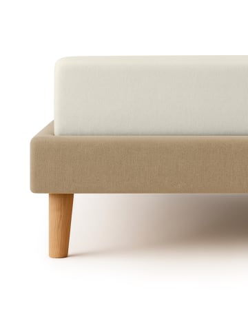 Cats Collection Spannbetttuch Feinbiber in creme