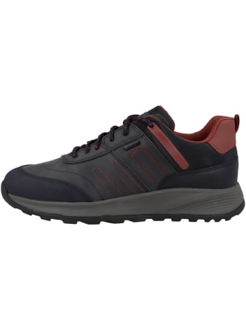 Geox Sneaker low U Terrestre B Wpf A in dunkelblau