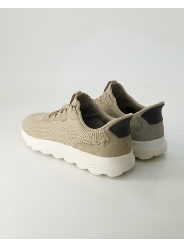 Geox Sportliche Schnürschuhe in Beige