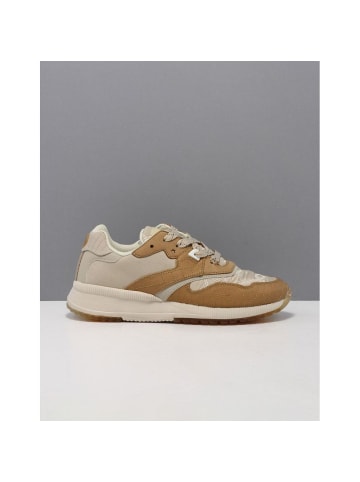Scotch & Soda Beige Nylon Low Top Sneaker