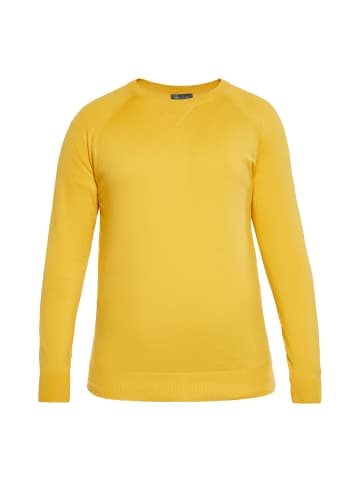 boline Herren Pullover in SENFGELB