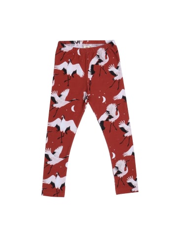 Walkiddy Leggings Leggings aus Baumwolle (Bio)
