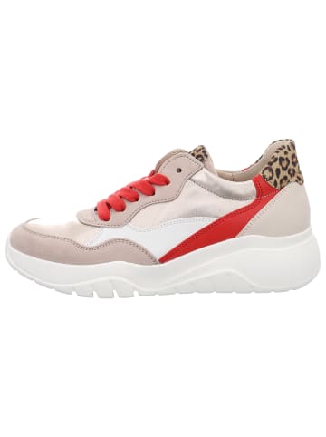 Gabor Sneaker in beige