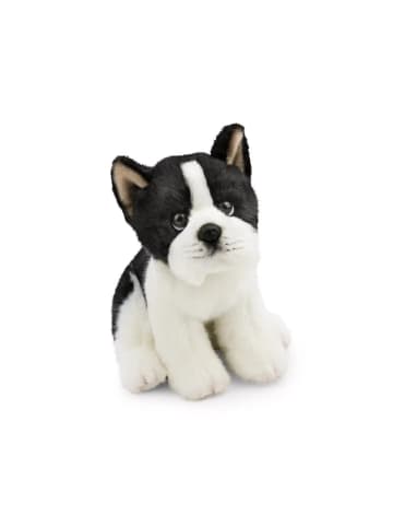 Nici Kuscheltier Hund Boston Terrier, Lifelike Kollektion, 20cm