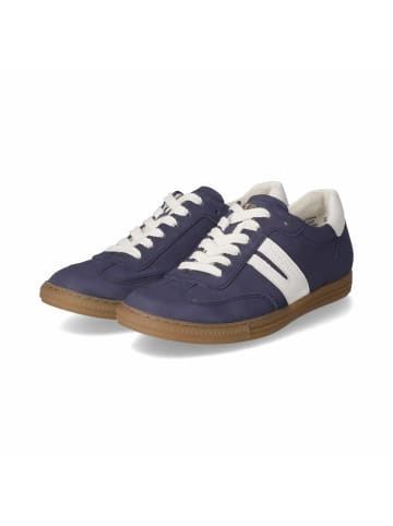 Paul Green Low Sneaker in Blau