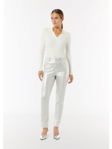 comma Hose in 0010_silber