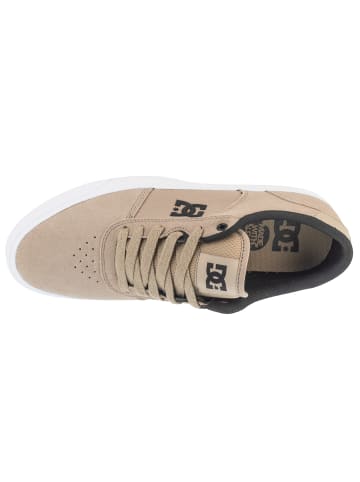 DC DC Shoes Teknic in Beige