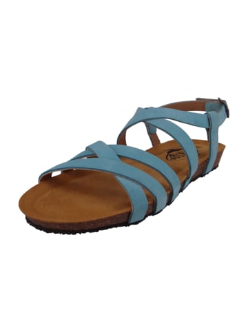 Plakton Sandalen türkis