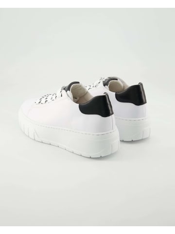 Gabor Sneaker low in Weiß