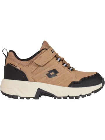 Lotto Kinder Sneaker "Sneaker" in Braun