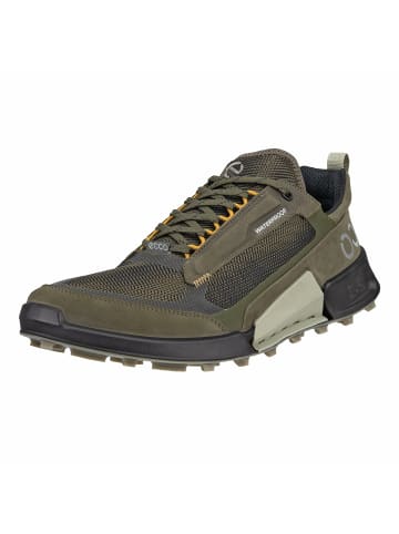 Ecco Freizeit Schnürer für Herren in uni