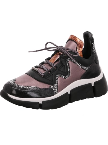 Cetti Klassischer Schnürschuh in schwarz