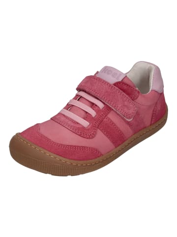 KOEL Sneaker Low DYLAN II LEATHER 07M045.101-651 in rosa