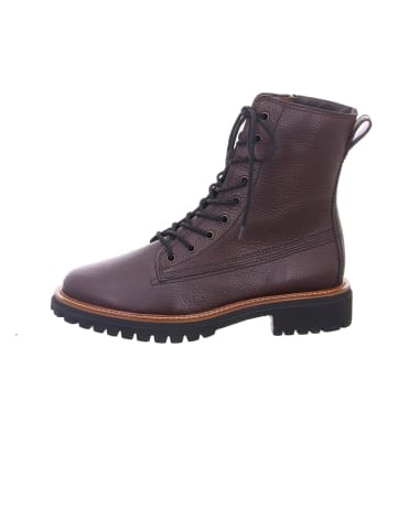 Paul Green Schnür-Stiefeletten für Damen in braun