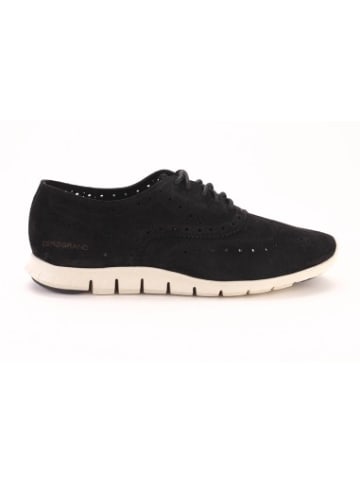 Cole Haan Schuhe D44060 in Schwarz
