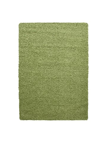 KADIMA DESIGN Teppich Hochflor Unifarben Polypropylen Wohnzimmer Shaggy in Grün
