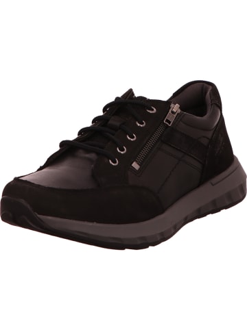 Josef Seibel Sneaker in schwarz