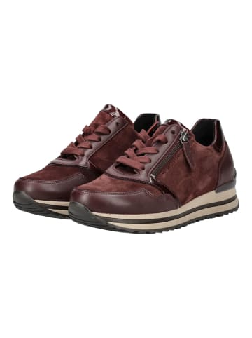 Gabor Sneaker Merlot