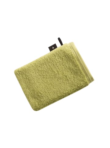 Vossen 6er Pack Waschhandschuh in avocado