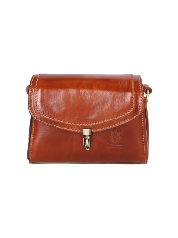 Gave Lux Crossbody in BROWN