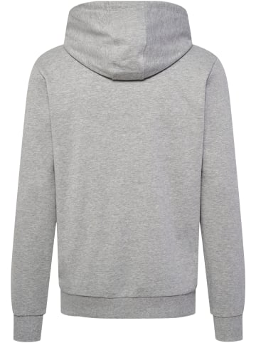 Hummel Hoodie Hmlic Fred Hoodie in GREY MELANGE