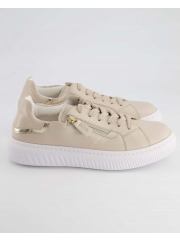 Gabor Comfort Sneaker low in Beige