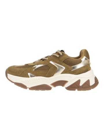 Steve Madden Sneaker AMPLE in Olive