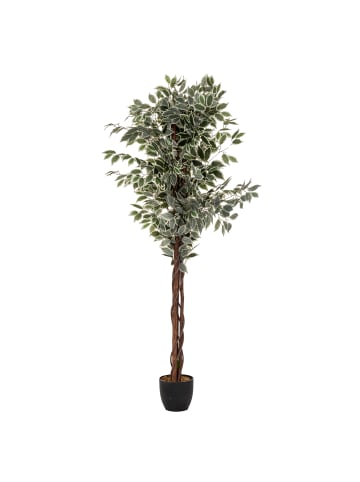 Atmosphera Créateur d'intérieur Künstlicher Ficus in grün