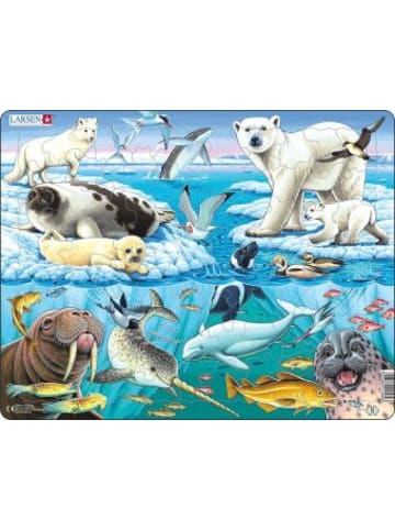 Raute Media Spiel - Puzzle - Tiere der Arktis