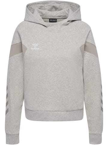 Hummel Hummel Kapuzenpullover Hmltravel Multisport Damen in LIGHT GREY MELANGE