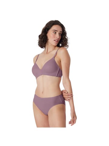 Schiesser Slip 6er Pack in Schwarz/Lila