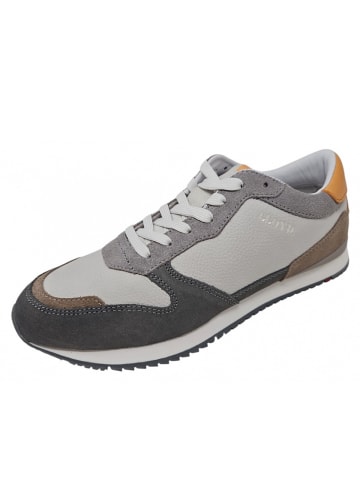 LLOYD Sneaker Elmore in Grau