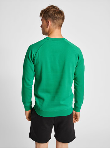 Hummel Sweatshirt Raglanärmel Hmlred Herren in JELLY BEAN