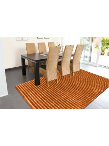 Arte Espina Hochflor Teppich Felicia 200 in orange - rechteckig