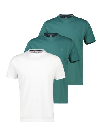 Lerros T-Shirt Basic in Grün / weiß