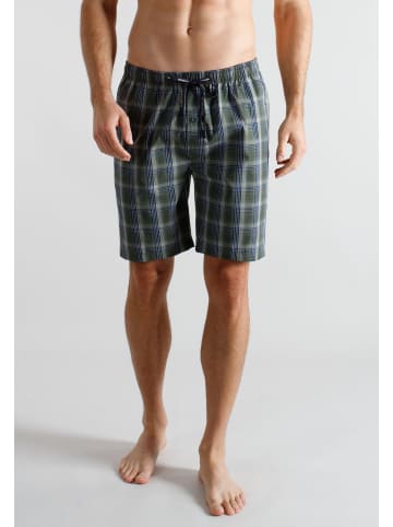 Tom Tailor Bermuda Dakota in grün-dunkel-Karo