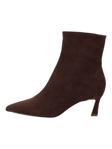 Steve Madden Stiefelette LULAH Coffee