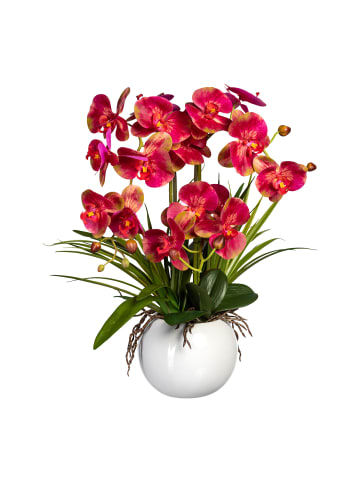 Creativ green Deko-Orchidee Phalaenopsis in pink