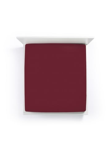 Formesse Spannbettlaken Bella Donna Jersey in Cabernet