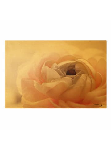 WALLART Leinwandbild Gold - Rosa Blüte im Fokus in Rosa