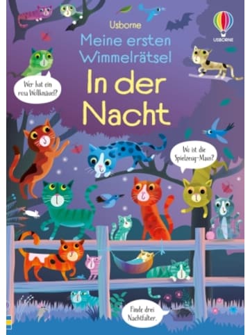 Usborn Buch - Meine ersten Wimmelrätsel: In der Nacht