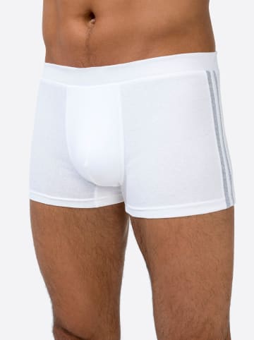 WITT WEIDEN Pants in weiß