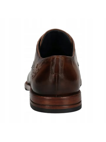 Bugatti Business Schuhe für Herren in braun