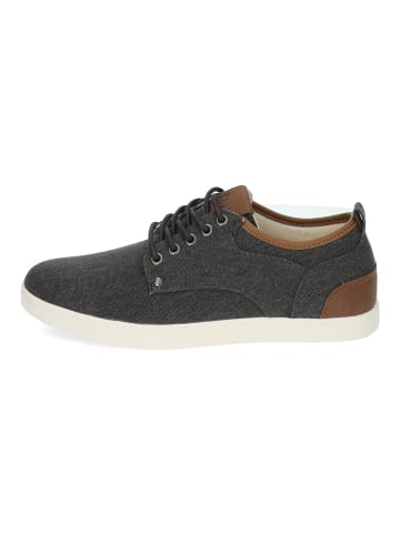 Bullboxer Sneaker in Schwarz