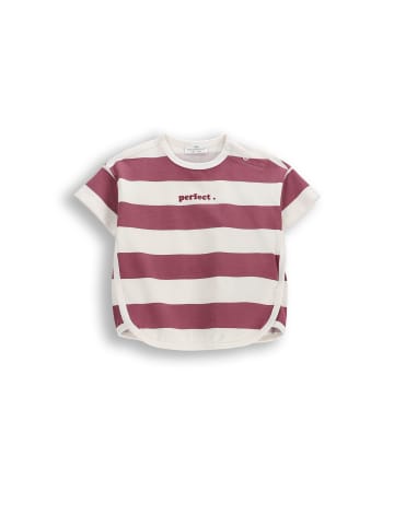 Coccodrillo T-Shirt mit kurzen Ärmeln in dunkelrot