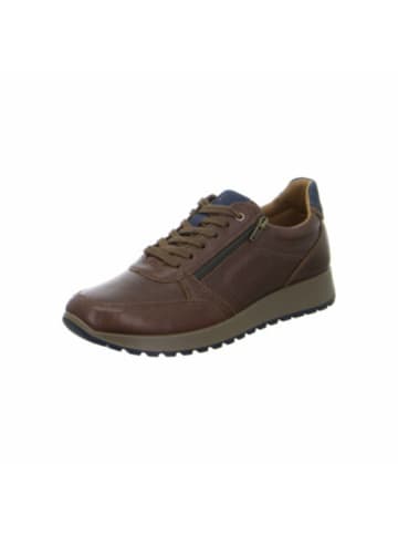 ara Sneaker für Herren in cognac in cognac