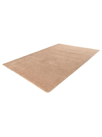 Vivorum Wohnzimmer / Schlafzimmer  Hochflor Teppich Tresor 525 in champagner