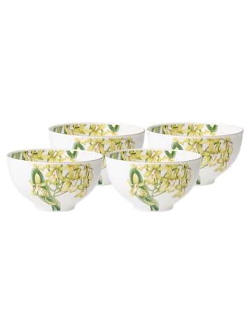 Villeroy & Boch 4er Set Bol Amazonia 700 ml in bunt